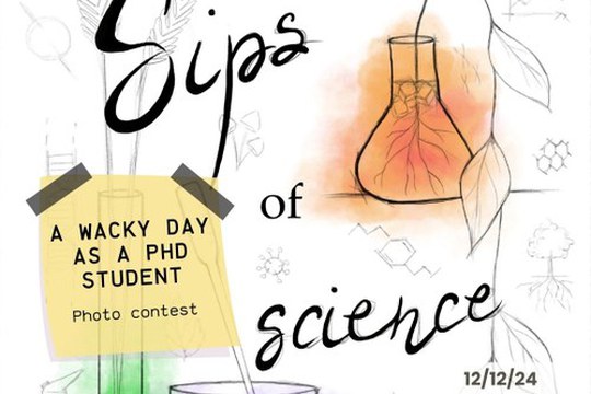 A WACKY DAY AS A PHD STUDENT