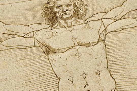 Al Museo di Palazzo Poggi un tuffo virtuale nei disegni di Leonardo da Vinci